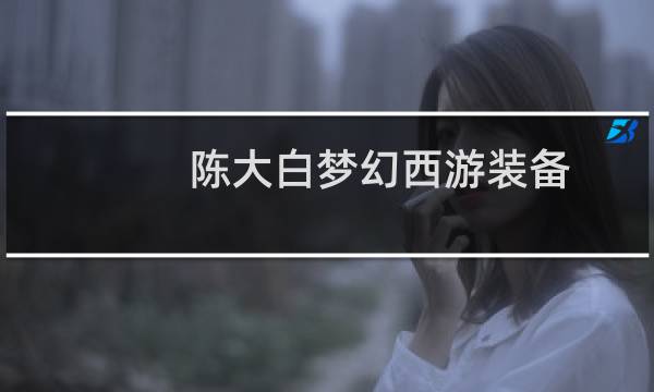 陈大白梦幻西游装备