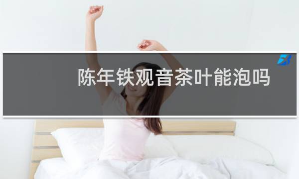 陈年铁观音茶叶能泡吗