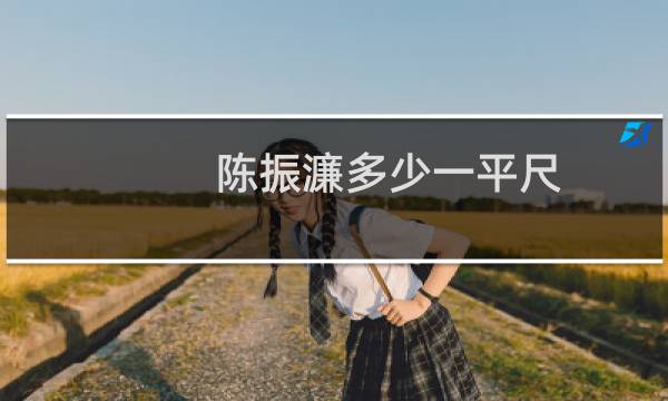 陈振濂多少一平尺