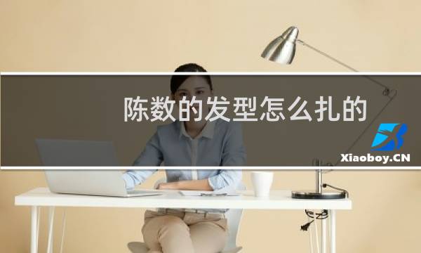 陈数的发型怎么扎的