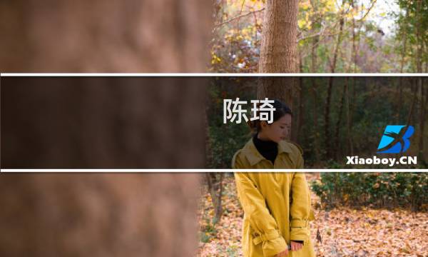 陈琦 画 多少钱