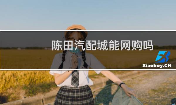 陈田汽配城能网购吗