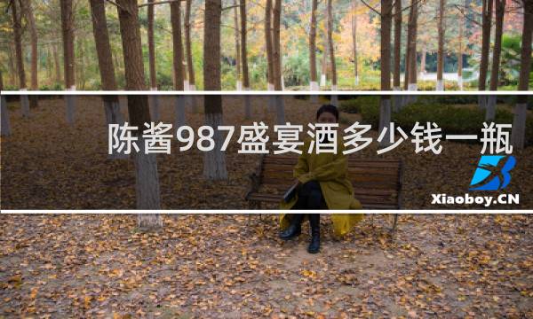 陈酱987盛宴酒多少钱一瓶