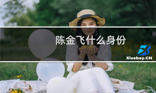 陈金飞什么身份