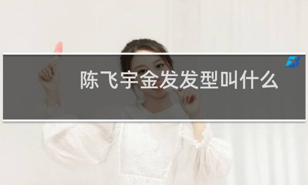 陈飞宇金发发型叫什么