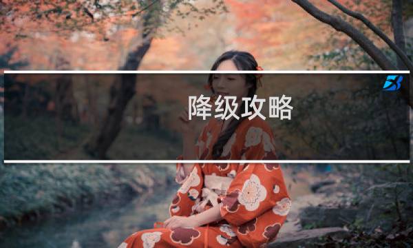 降级攻略
