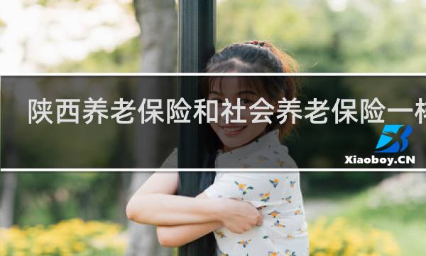 陕西养老保险和社会养老保险一样吗