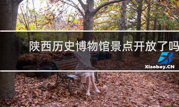 陕西历史博物馆景点开放了吗