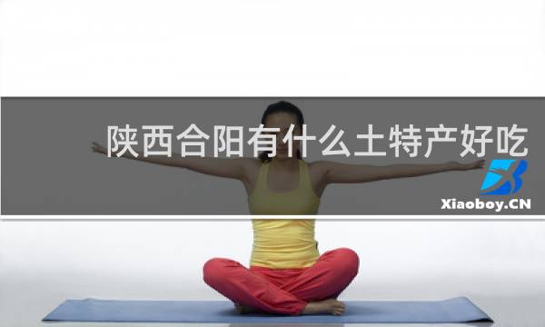 陕西合阳有什么土特产好吃