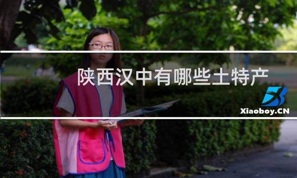 陕西汉中有哪些土特产