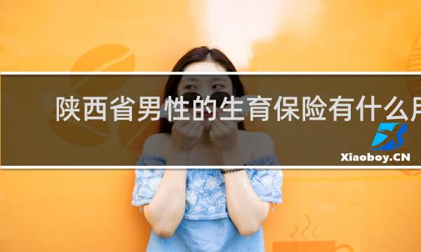 陕西省男性的生育保险有什么用