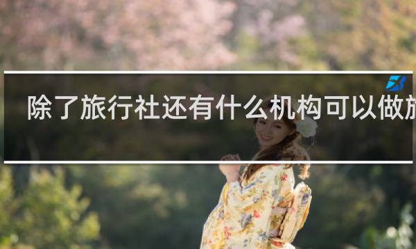 除了旅行社还有什么机构可以做旅游
