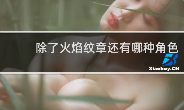 除了火焰纹章还有哪种角色