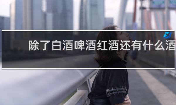 除了白酒啤酒红酒还有什么酒
