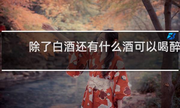 除了白酒还有什么酒可以喝醉