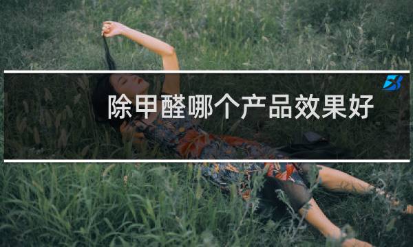 除甲醛哪个产品效果好