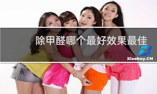 除甲醛哪个最好效果最佳