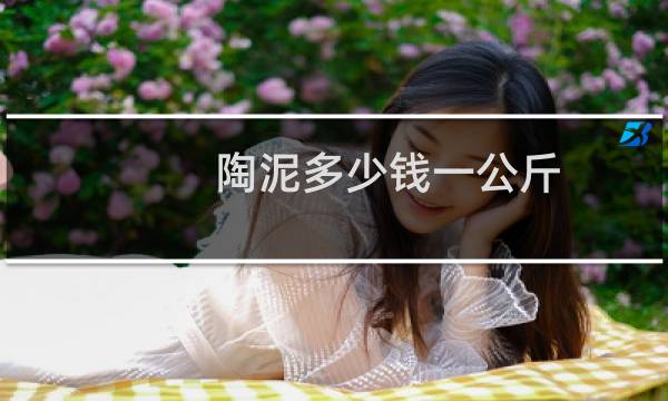 陶泥多少钱一公斤