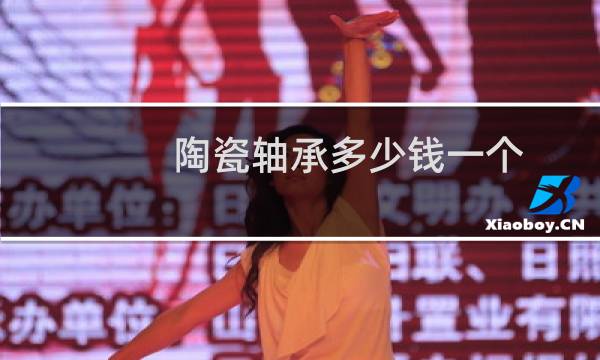 陶瓷轴承多少钱一个