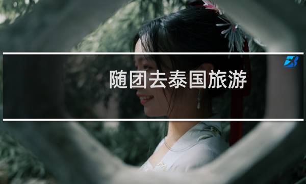隨團(tuán)去泰國旅游