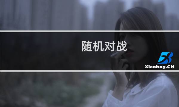 随机对战 攻略
