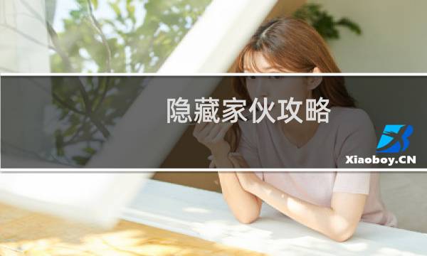 隐藏家伙攻略