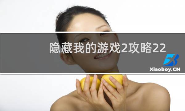 隐藏我的游戏2攻略22