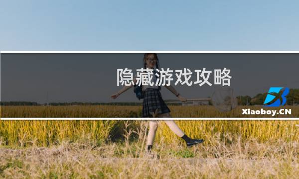 隐藏游戏攻略