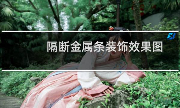隔断金属条装饰效果图