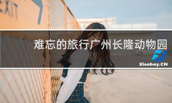 难忘的旅行广州长隆动物园
