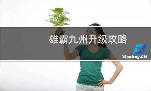 雄霸九州升级攻略