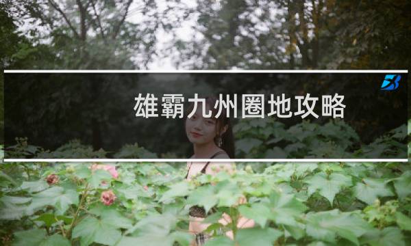 雄霸九州圈地攻略