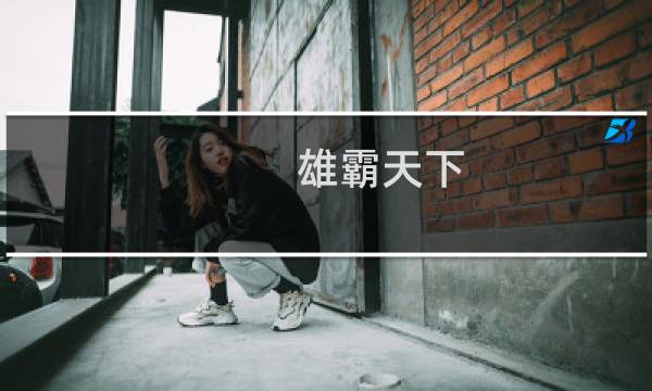 雄霸天下 攻略