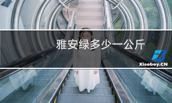 雅安绿多少一公斤
