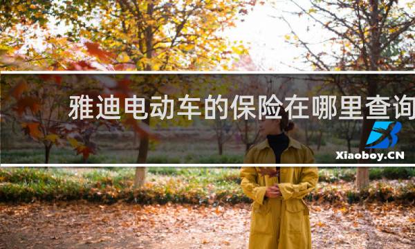 雅迪电动车的保险在哪里查询