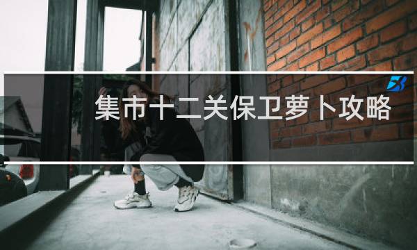 集市十二关保卫萝卜攻略