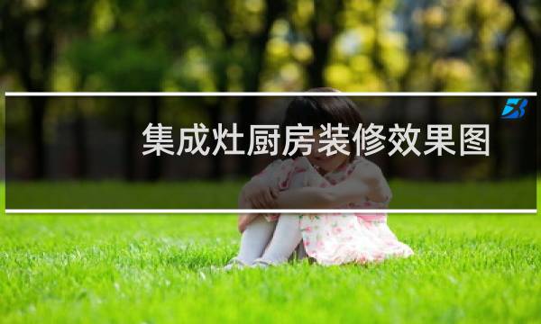 集成灶厨房装修效果图