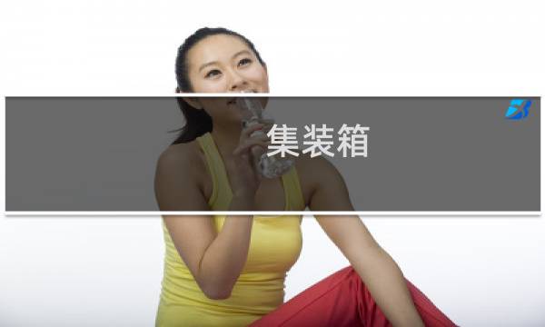 集装箱 内尺寸