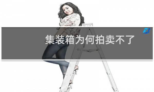 集装箱为何拍卖不了