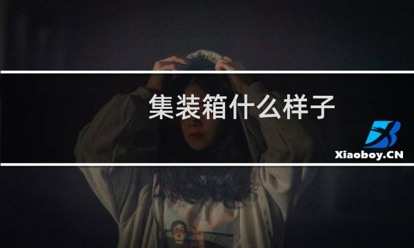 集装箱什么样子