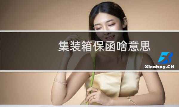 集装箱保函啥意思