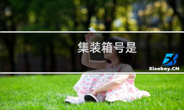 集装箱号是