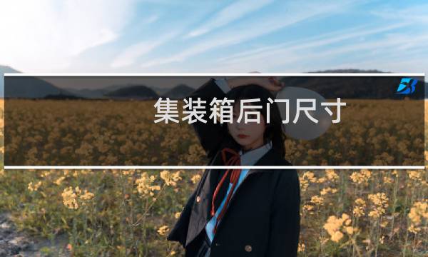 集装箱后门尺寸