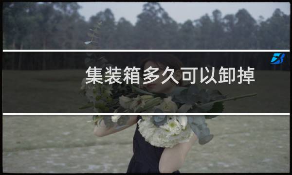 集装箱多久可以卸掉