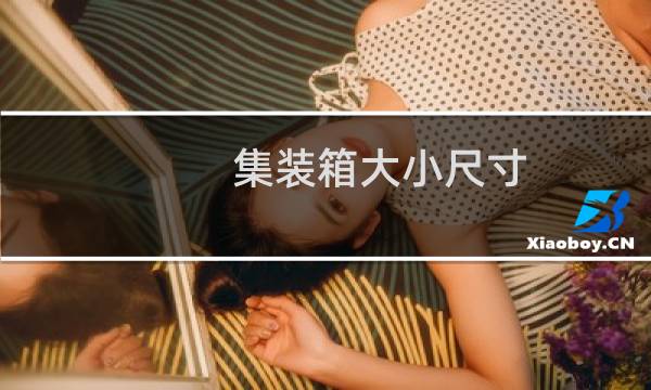 集装箱大小尺寸