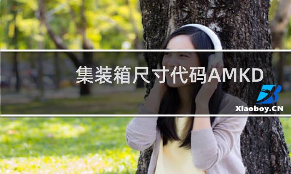 集装箱尺寸代码AMKD