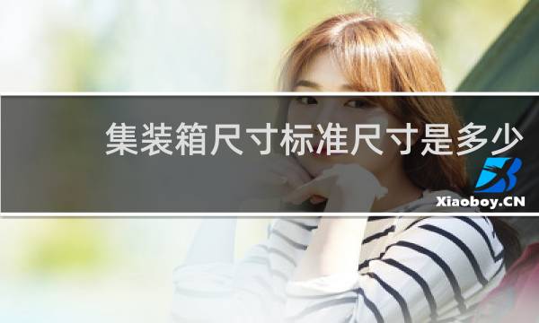 集装箱尺寸标准尺寸是多少