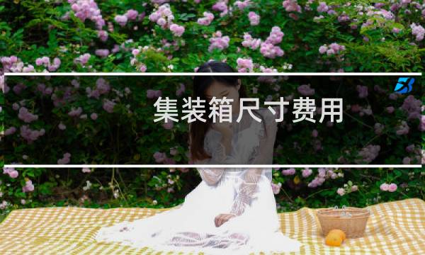 集装箱尺寸费用