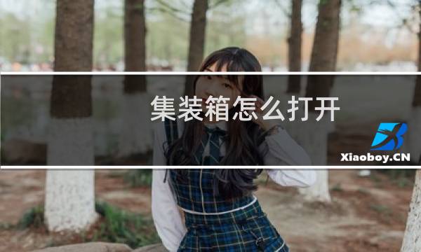 集装箱怎么打开
