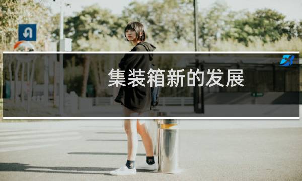 集装箱新的发展